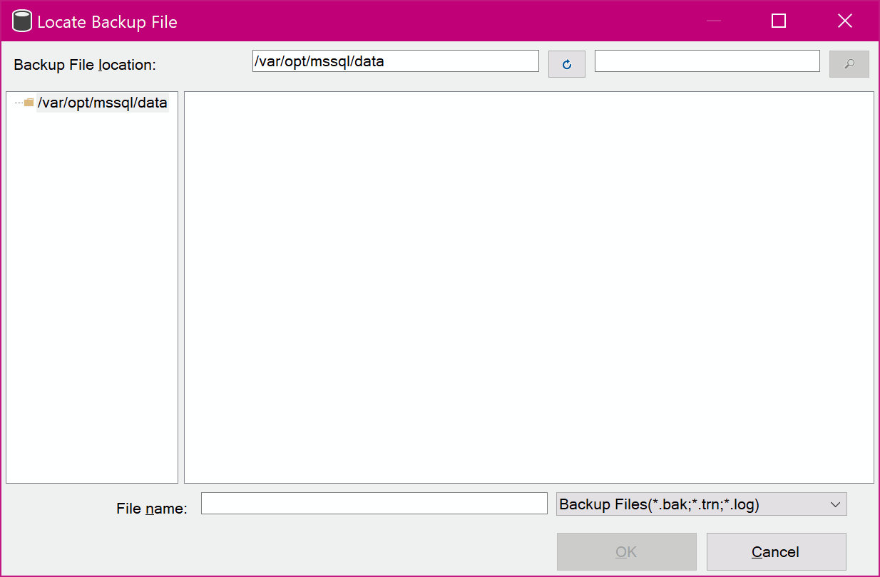Default SSMS Restore Database Path.