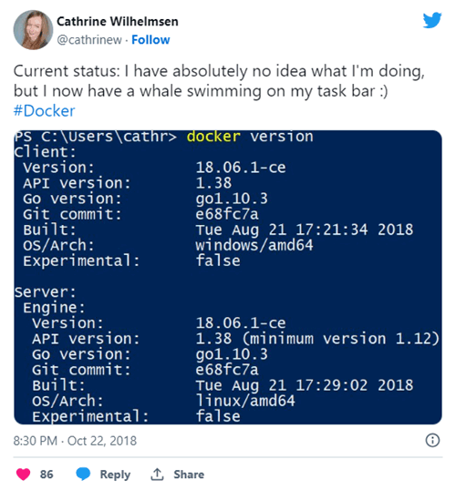 Current status: I have absolutely no idea what I’m doing, but I now have a whale swimming on my task bar :) #Docker